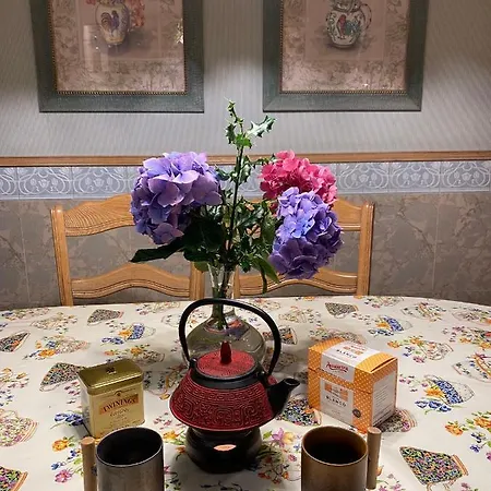 La Ostra De Mirakontxa Daire